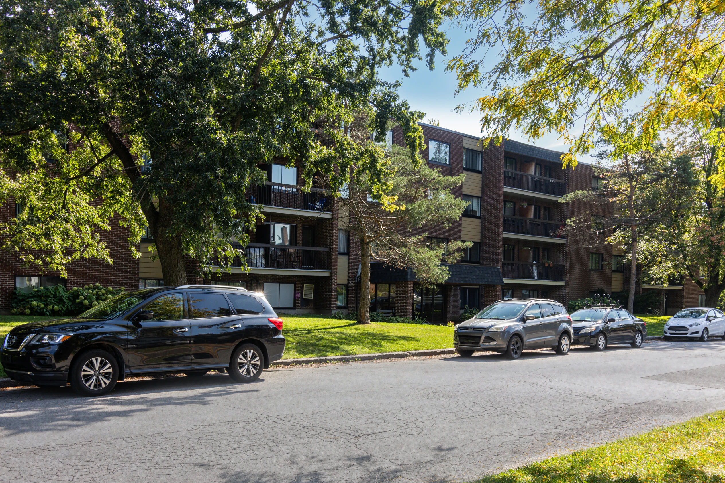 Image non trouvée !